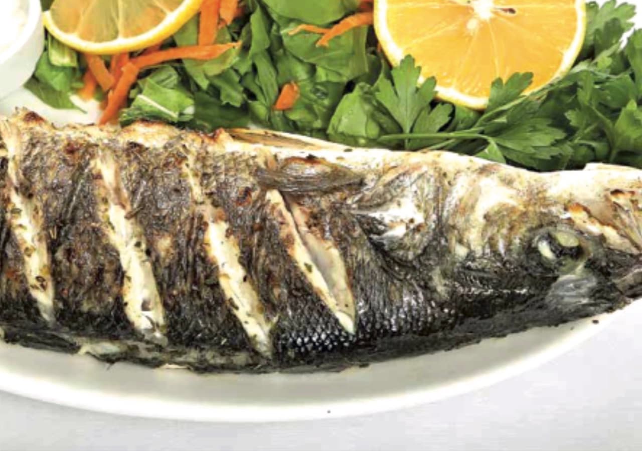 BALIK IZGARALAR